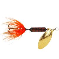 As the fishing in the region has become more popular, it is more important than ever that we as anglers protect the resource. Are Rooster Tails Good for Trout? - Trout Fishing USA