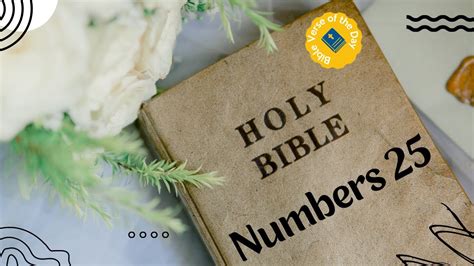 Numbers 25 Bible Reading Bible Verse Of The Day Word Of God