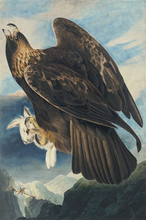 The Mystery Of The Missing John James Audubon Self Portrait Audubon