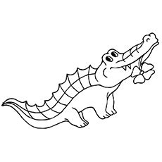 Here are some very interesting suggestions about alligator coloring pages alligator coloring pages from free printable alligator coloring pages for kids. Top 25 Free Printable Alligator Coloring Pages Online