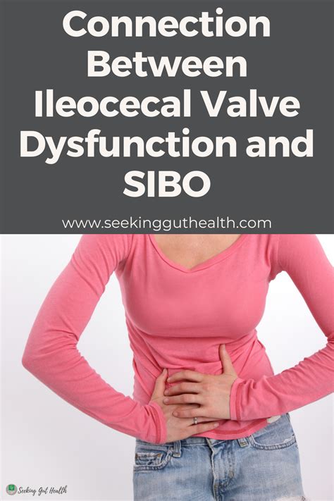 Ileocecal Valve Syndrome In Sibo Seekingguthealth