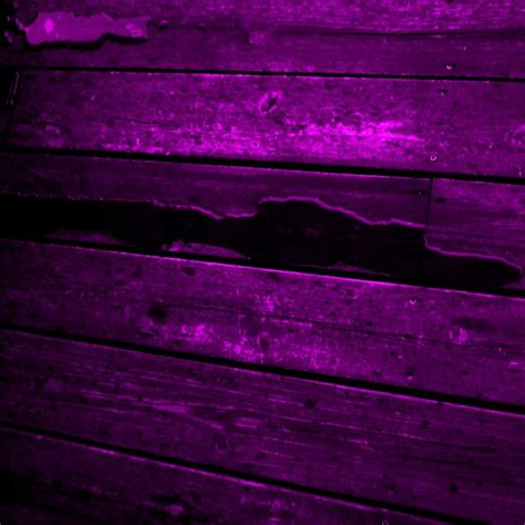 Purple Wood Purple Wood Stain Purple Heart Wood Shades Of Purple
