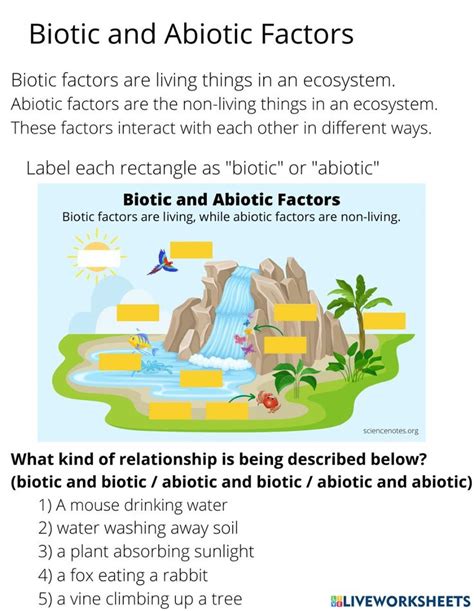Biotic And Abiotic Factors Exercise In 2023 Science Lesson Plans