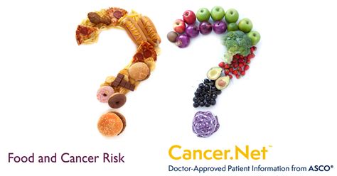 Food And Cancer Risk Cancernet