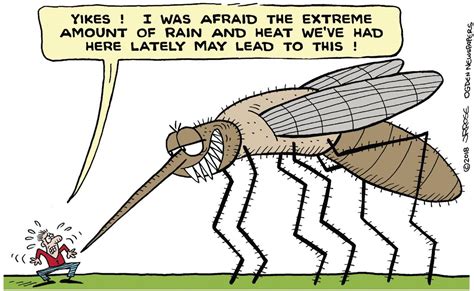 Cartoon Mosquitos Cartoons