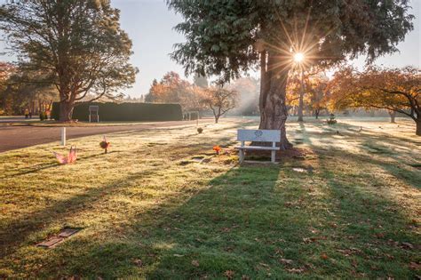 Funeral & Cremation Pricing | Moles Farewell Tributes