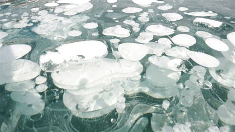 Frozen Methane Bubbles In Albertas Abraham Lake Entice Photographers