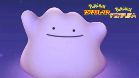 cómo encontrar a ditto en pokémon escarlata y pokémon púrpura justneko