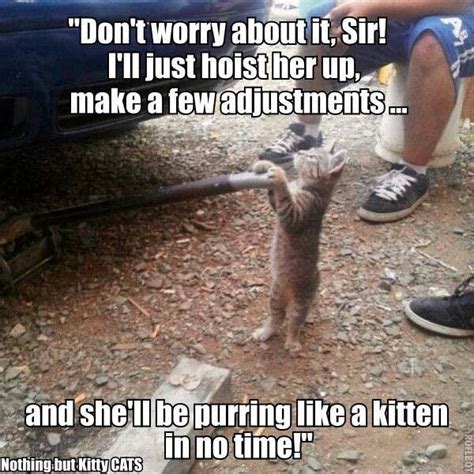 Pin By Carrie Best On Cats Mechanics Memes Mechanic Humor Mechanic Life