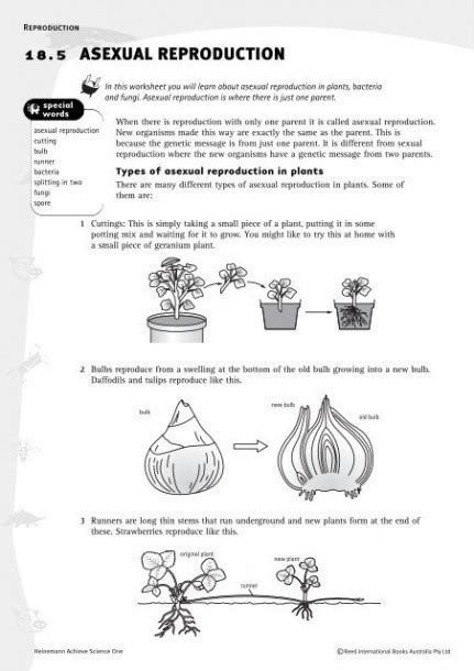plant reproduction worksheet