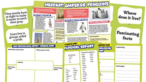 Animals Non Chronological Reports Ks1 Text Types Writing Planners