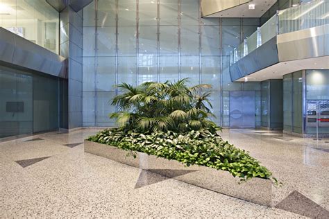 Interior Office Plants Plant Services And Plant Rentals Phillips