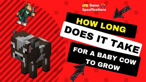 How Long Does It Take For A Baby Cow To Grow In Minecraft Youtube