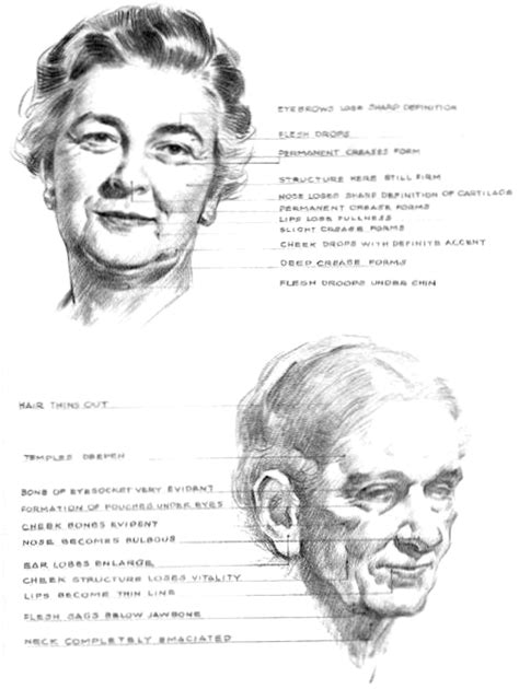 How To Draw Aging Faces And Hands And Where To Draw Wrinkles On The