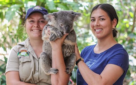 Book Lone Pine Koala Sanctuary Tickets 2024 Brisbane River Cruise