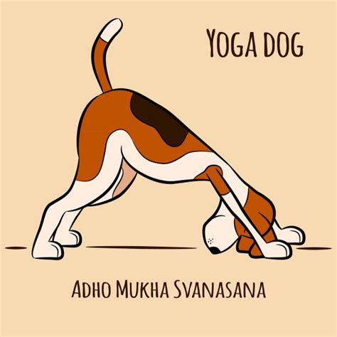 Top 60 Dog Yoga Clip Art Vector Graphics And Illustrations Istock