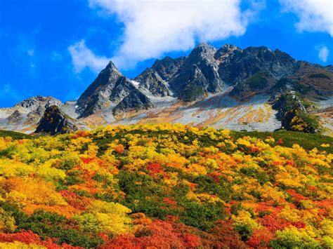 Autumn In Japan Red Yellow Green Bushes Mountain With Rocky Peaks Blue
