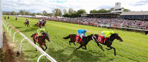 Albury Gold Cup Information Albury Racing Club Country Racing At