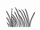 Grass Coloring Drawing Printable Plants Template Lawn Getcolorings Getdrawings sketch template