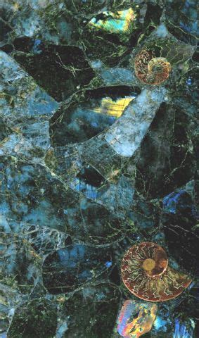 .sale,labradorite granite cost,labradorite granite countertop,labradorite,labradorite countertop. labradorite countertop with embedded ammonites - for the ...
