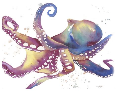 Octopus Watercolor Painting At Getdrawings Free Download