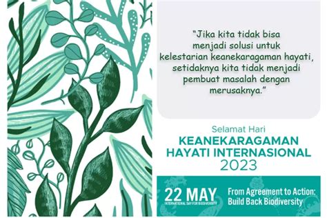 Quotes Hari Keanekaragaman Hayati Internasional Penuh Inspirasi