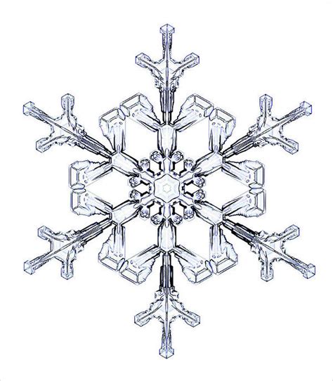 Free 8 Snowflake Drawings In Ai