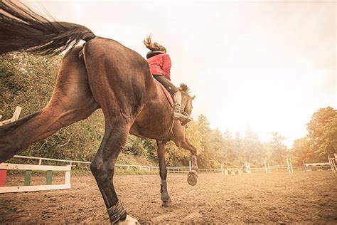Best Horse Mounting Woman Stock Photos Pictures And Royalty Free Images