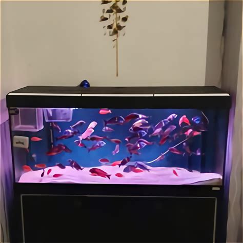 45 Litre Fish Tank For Sale In Uk 68 Used 45 Litre Fish Tanks