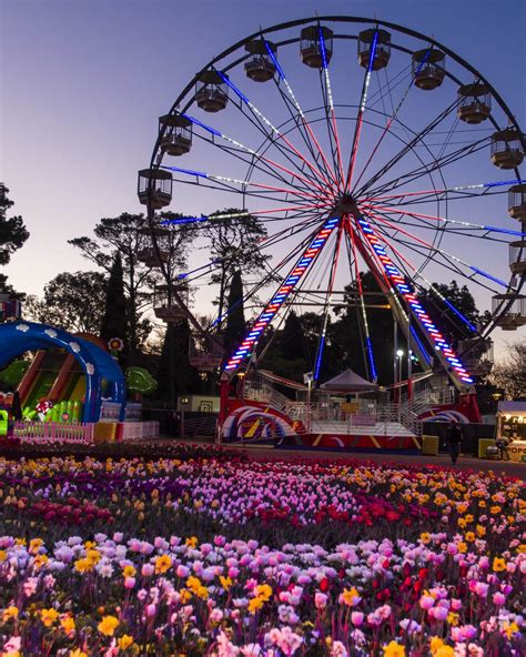 Guide To Floriade Canberra Flower Festival