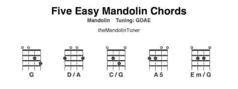 Easy Mandolin Chords And How To Play Them Themandolintuner