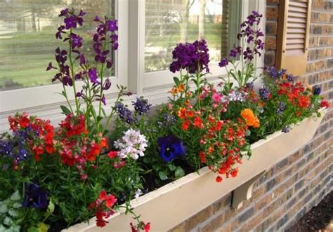 Often overlooked for window boxes are foolproof flowering bulbs. Muddy Boots LandscapingTips on planting early spring ...