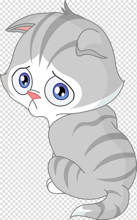 Cat Kitten Sadness Cats Transparent Background Png Clipart Hiclipart