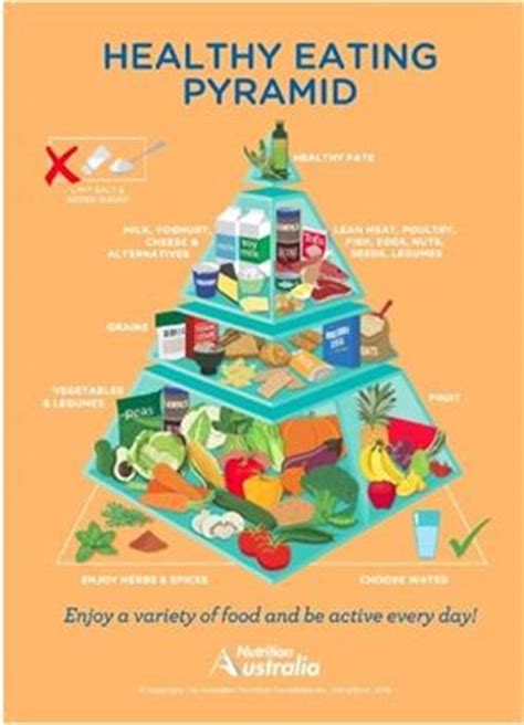 It shows the five core food groups according to how much each contributes to a balanced diet. New Food Pyramid