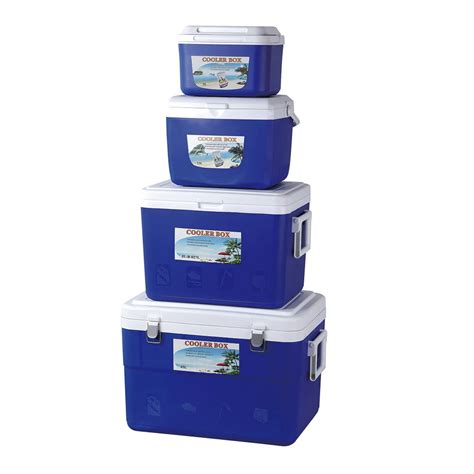 4 5l Mini Ice Cooler Box Small Plastic Pp Eps Insulated Cooling Box