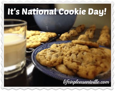 Chocolate Chip Pudding Cookies for National Cookie Day - Life In ...