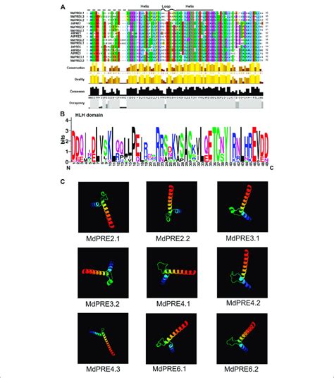 multiple sequence alignment and conserved motif analyses of the mdpre download scientific