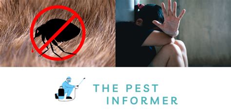 Can Fleas Live On Humans How To Avoid Fleas Crawling On Your Skin