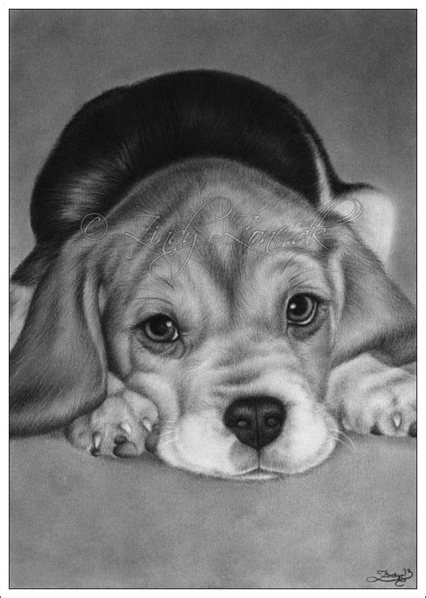 Cute Puppy Drawing In Pencil