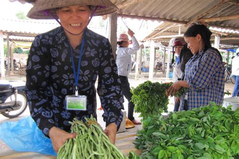 How To Share Enable 100 Vietnamese Farmers To Grow Safe Food Globalgiving