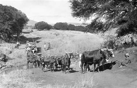 An Ox Wagon Crossing A Stream In South Africa Flickr