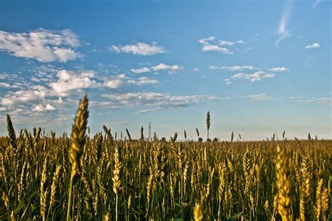 Depth Of Field Landscape