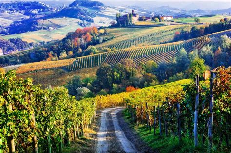 Walking Holidays Piedmont And Barolo Wine Region Celtic Trails
