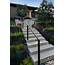 Polished Concrete Steps Lined With Plants  HGTV