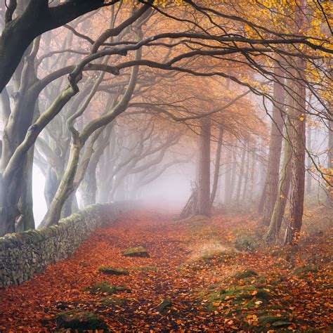 Lost In Autumn Peak District Landscape Photographers Landscape