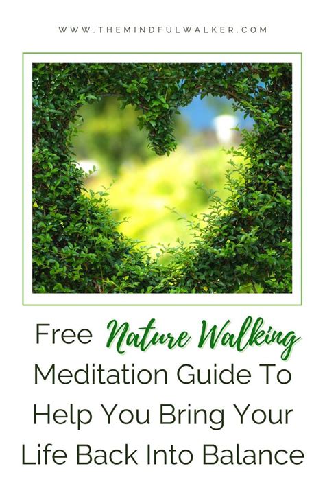 Free Nature Walking Meditation Guide To Help You Bring Your Life Back