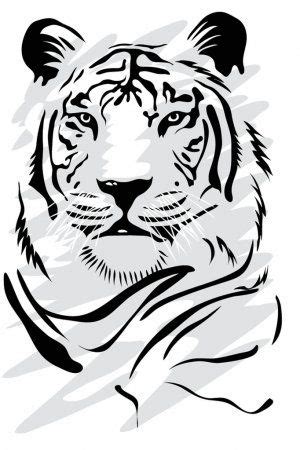 Tigre dibujo Imágenes Vectoriales Ilustraciones Libres de Regalías de