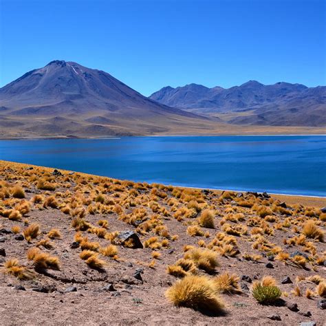 Dotsonville chili & dessert cook off. One of Earth's Most Extraordinary Places: Chile's Atacama ...