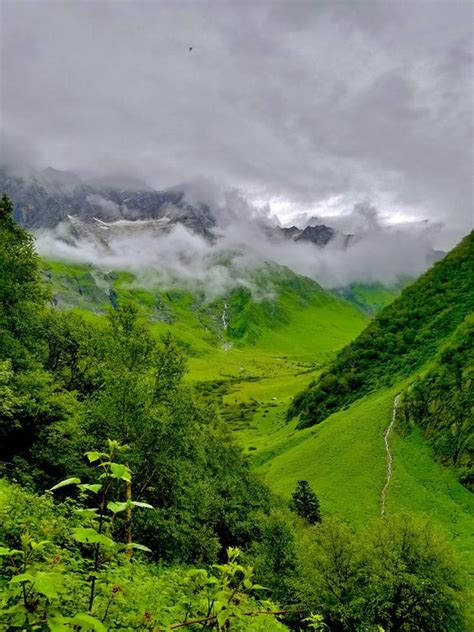 Best time to visit the valley of flowers. Igatpuri | Places To Visit | Best Time To Visit Igatpuri ...