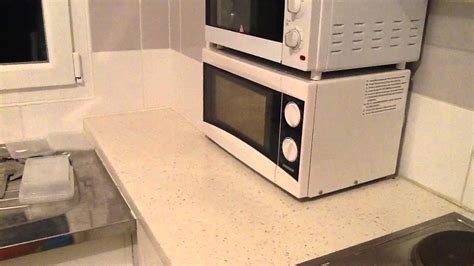 A Cat In The Microwave Youtube